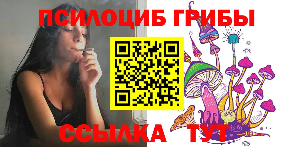 Гатчина  Псилоцибиновые грибы MAGIC MUSHROOMS  Вход с VPN 